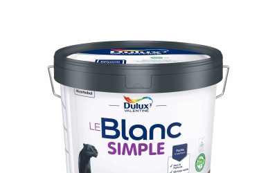 Combien de temps attendre entre deux couches de peinture satin ?